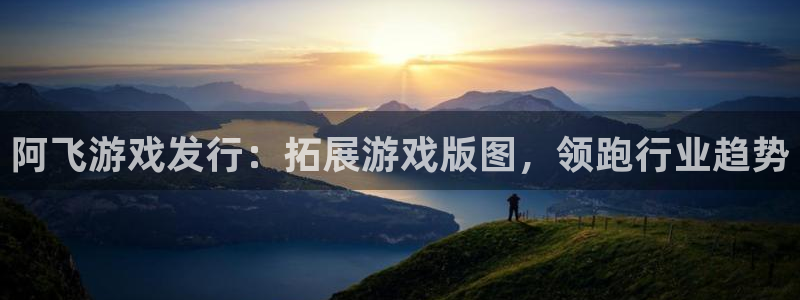 新宝gg案件：阿飞游戏发行：拓展游戏版图，领跑行业趋势