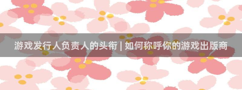 新宝gg账号首页：游戏发行人负责人的头衔 | 如何称呼你的游戏出版商