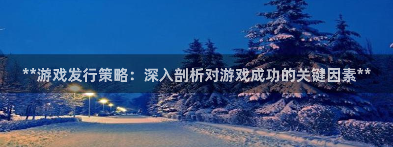 新宝gg娱乐创造奇迹登录官网：**游戏发行策略：深入剖析对游戏成功的关键因素**
