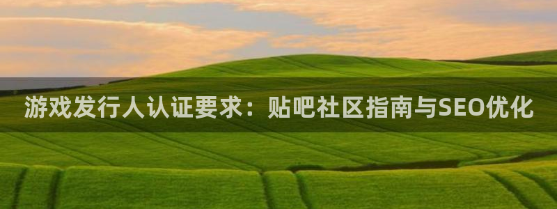 新宝gg 创造奇迹：游戏发行人认证要求：贴吧社区指南与SEO优化