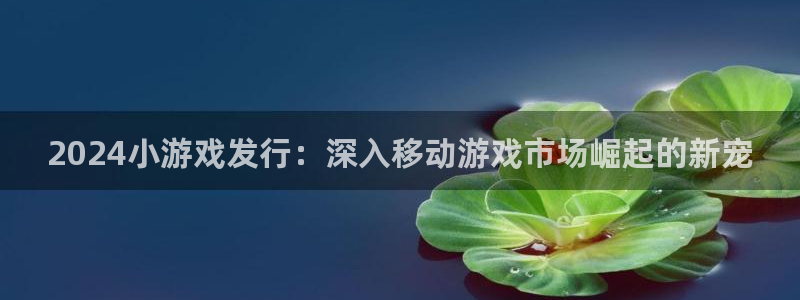 新宝gg平台是否合法：2024小游戏发行：深入移动游戏市场崛起的新宠