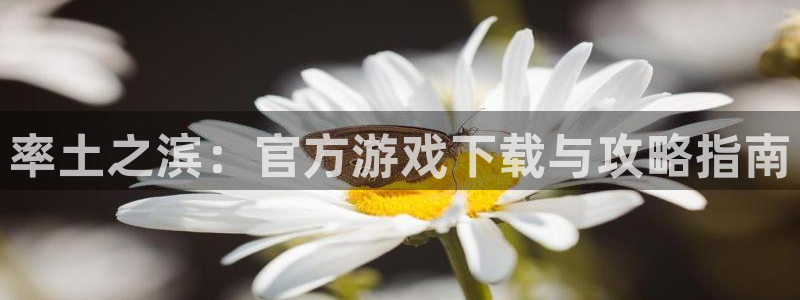 新宝gg平台登录手机版：率土之滨：官方游戏下载与攻略指南