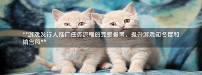 新宝gg平台―创造奇迹登录：**游戏发行人推广任务流程的完整指南，提升游戏知名度和
销售额**