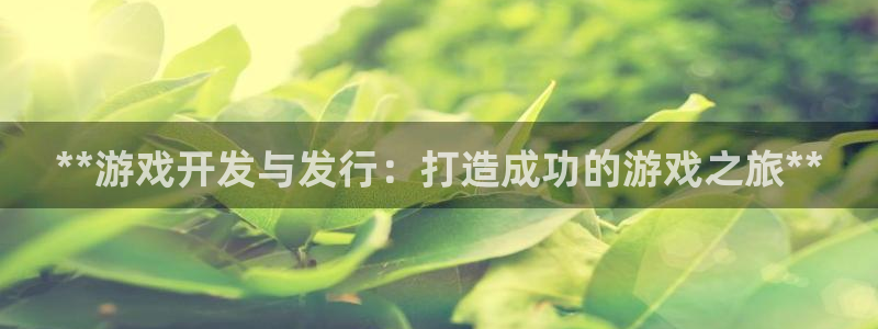 新宝gg一创造奇迹登：**游戏开发与发行：打造成功的游戏之旅**