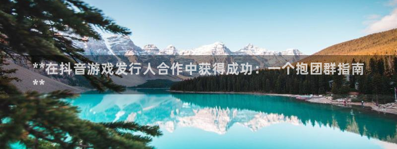 新宝gg创造奇迹登录入口：**在抖音游戏发行人合作中获得成功：一个抱团群指南
**
