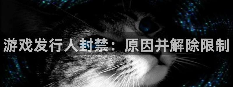 新宝gg是合法的吗：游戏发行人封禁：原因并解除限制