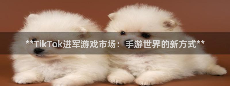 新宝gg创造奇迹登录注册入口：**TikTok进军游戏市场：手游世界的新方式**