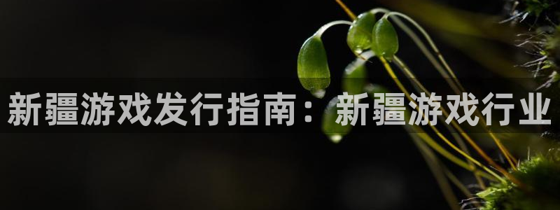 新宝gg怎么登录不上去了了：新疆游戏发行指南：新疆游戏行业