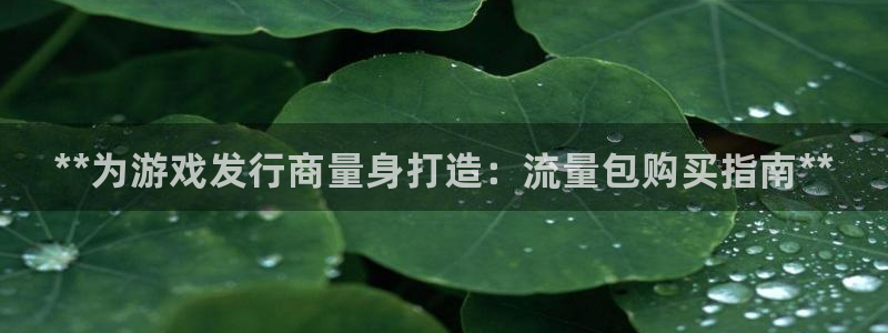 新宝gg平台注册官网：**为游戏发行商量身打造：流量包购买指南**