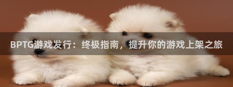 新宝GG平台开户