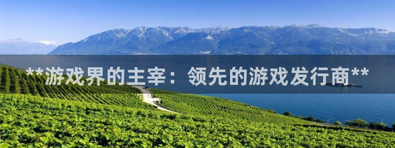 新宝gg一创造奇迹代理测速：**游戏界的主宰：领先的游戏发行商**