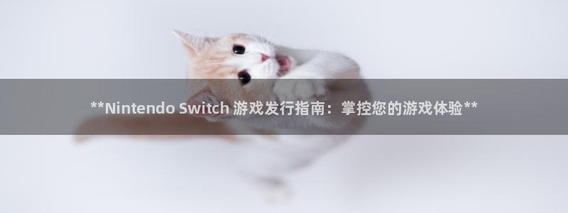 新宝gg真的能赚钱么