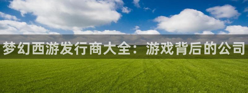 新宝gg创造奇迹登录最简单三个步骤：梦幻西游发行商大全：游戏背后的公司