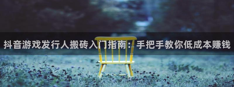 新宝gg平台―创造奇迹登录：抖音游戏发行人搬砖入门指南：手把手教你低成本赚钱
