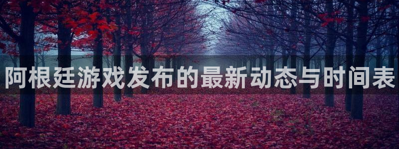 新宝gg一创造奇迹代理测速：阿根廷游戏发布的最新动态与时间表