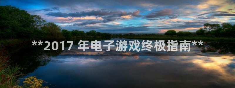 新宝gg上线被抓：**2017 年电子游戏终极指南**
