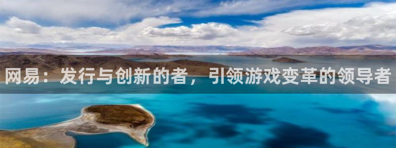 新宝gg平台是否合法：网易：发行与创新的者，引领游戏变革的领导者