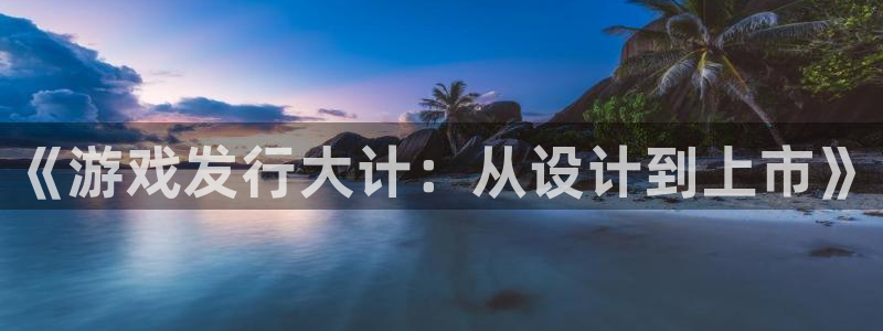 新宝gg平台是否合法：《游戏发行大计：从设计到上市》