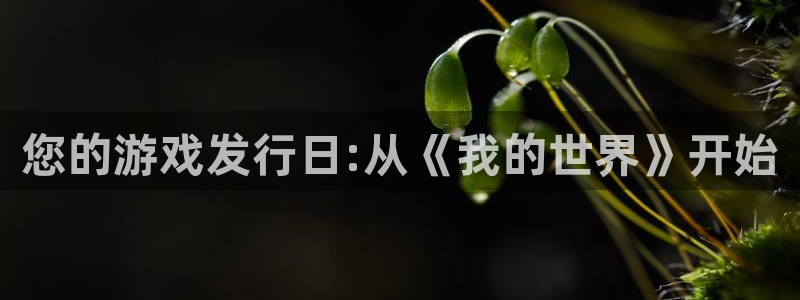 新宝gg登录不了是什么原因：您的游戏发行日:从《我的世界》开始