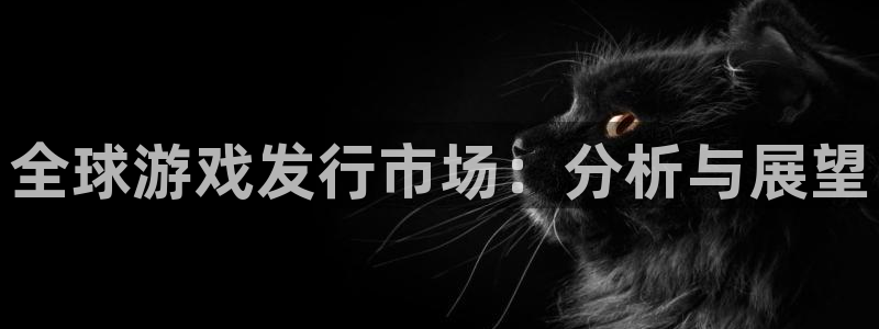 新宝gg平台—创造奇迹登录